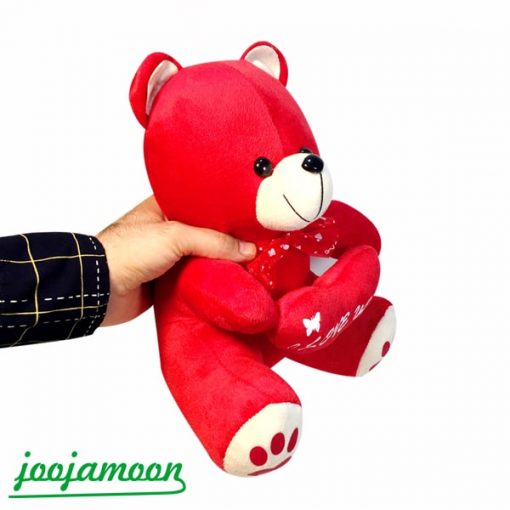 عروسک خرس قلب در دست