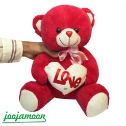 عروسک خرس قلب به دست عاشق
